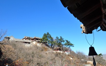 DSC_0779_conew1