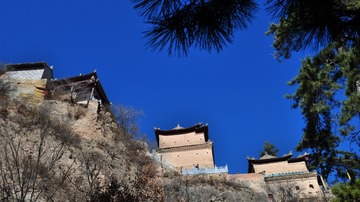 DSC_0853_conew1