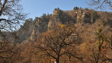 DSC_0086_conew1