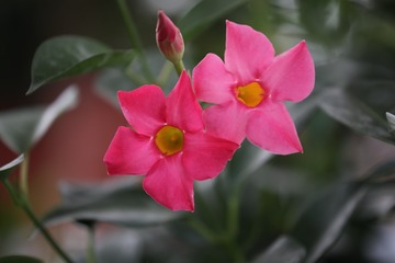 OC2A2659
