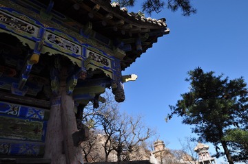 DSC_0867_conew1