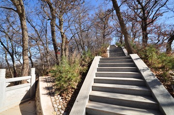 DSC_0055_conew1