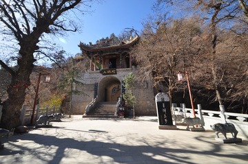 DSC_0043_conew1
