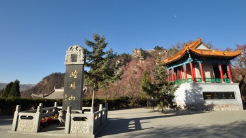 DSC_0375_conew1