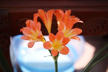 OC2A3439