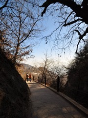 DSC_0881_conew1