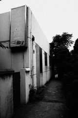 IMG_1063.jpg