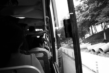 IMG_0969.jpg