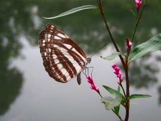 IMG_8365 副本 2.jpg
