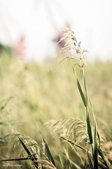 2010_10_06_1003_调整大小.jpg
