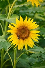 001