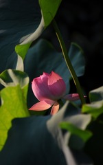 001