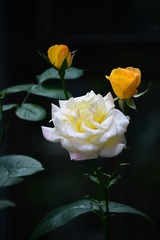 001