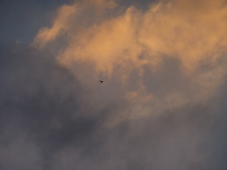 430