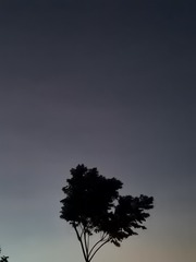 12712