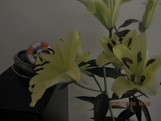 01AD8734-EDA6-47C6-A64D-2815E80B3A47/L0/001