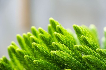 IMG_0772.jpg