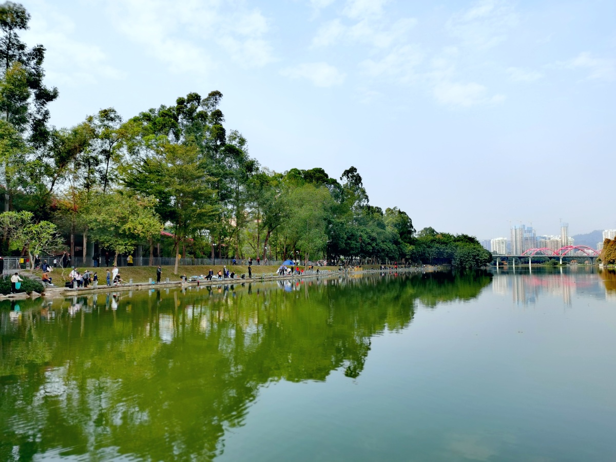2022年的第一天深圳洪湖公园