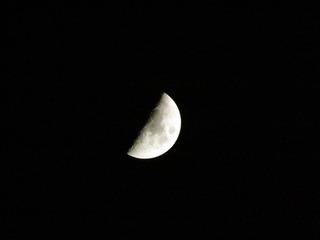 28061