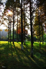 IMG_1091.jpg