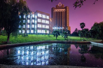 IMG_2824.jpg