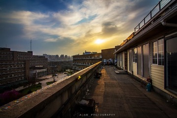 IMG_84011.jpg