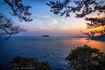 IMG_8930.jpg