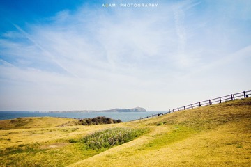IMG_9029.jpg