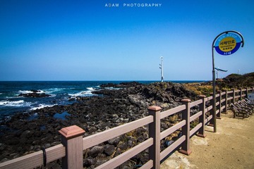 IMG_8688.jpg