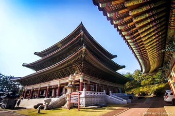 IMG_8836.jpg