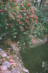 97170002.jpg