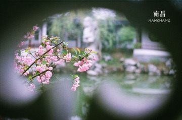 97170007.jpg