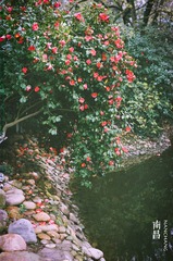 97170002.jpg