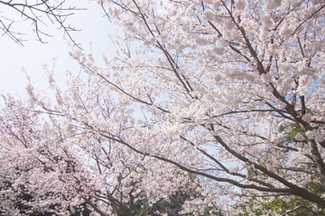IMG_8653.jpg