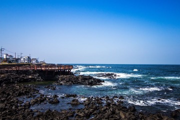 IMG_8745.jpg