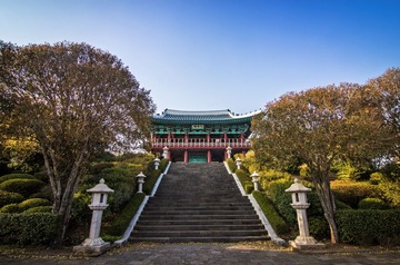 IMG_8872.jpg
