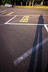 IMG_8894.jpg