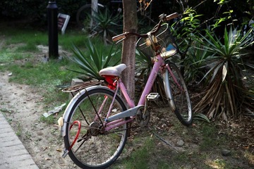 IMG_0109.JPG
