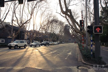 IMG_1467.jpg