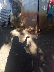 566367