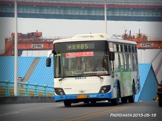 DSCN5253.jpg