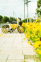 7C275D13-9860-4C60-8272-B5A5375D16AC/L0/001