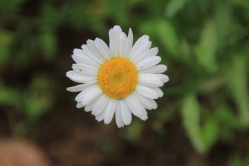 130506