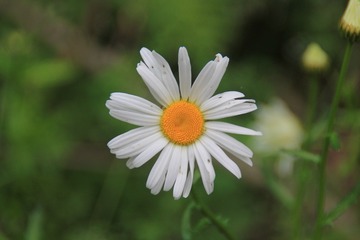 130507