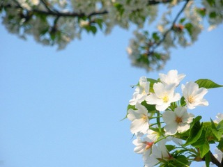 DSCN3261.JPG