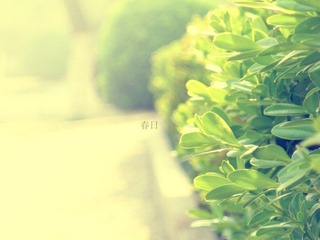 DSCN3281.JPG