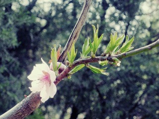 DSCN3184.JPG