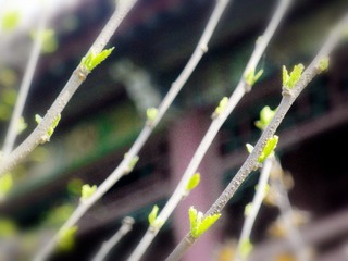 DSCN3194.JPG