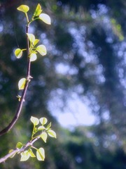 DSCN3240.JPG
