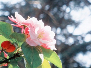 DSCN3241.JPG